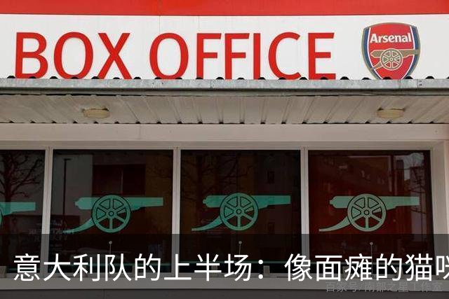意大利队的上半场：像面瘫的猫咪，任比利时随意玩耍